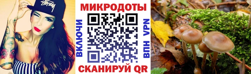 Галлюциногенные грибы мицелий  Купить закладки  Сегежа 