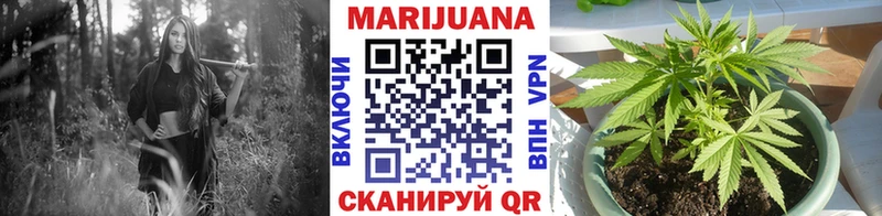 Конопля сатива  Купить  Сегежа 